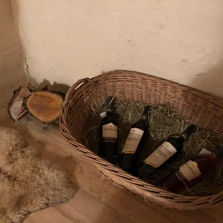 Apartment Mija Apartman S Vinnym Sklipkem, Zahradou A Grilem *