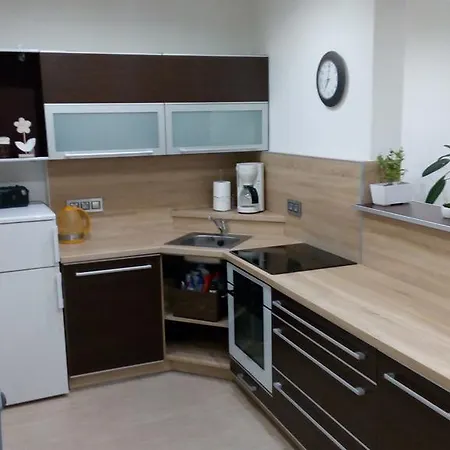 Mija Apartman S Vinnym Sklipkem, Zahradou A Grilem